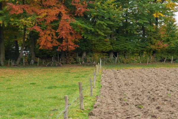 wiesen und felder im herbst - (c) r plock.jpg